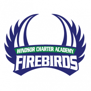 firebirds banner logo